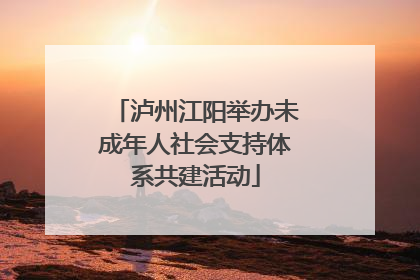 泸州江阳举办未成年人社会支持体系共建活动