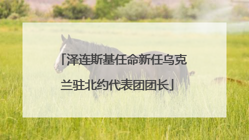 泽连斯基任命新任乌克兰驻北约代表团团长