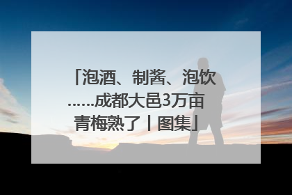 泡酒、制酱、泡饮……成都大邑3万亩青梅熟了丨图集