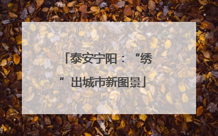 泰安宁阳：“绣”出城市新图景