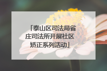 泰山区司法局省庄司法所开展社区矫正系列活动