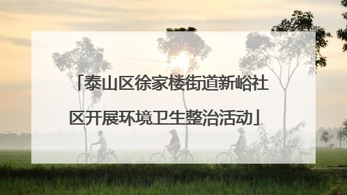 泰山区徐家楼街道新峪社区开展环境卫生整治活动