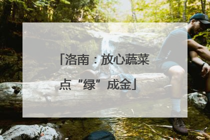 洛南：放心蔬菜点“绿”成金