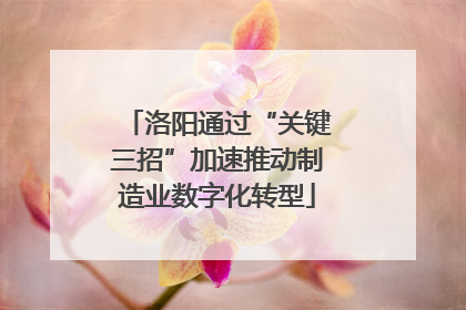 洛阳通过“关键三招”加速推动制造业数字化转型