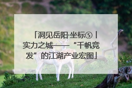 洞见岳阳·坐标⑤丨实力之城——“千帆竞发”的江湖产业宏图