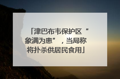 津巴布韦保护区“象满为患”，当局称将扑杀供居民食用