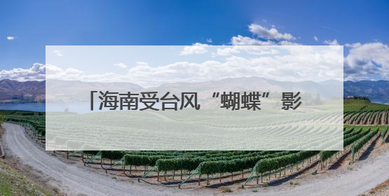 海南受台风“蝴蝶”影响用户全面恢复供电