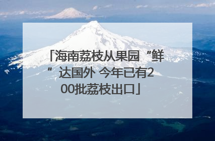 海南荔枝从果园“鲜”达国外 今年已有200批荔枝出口