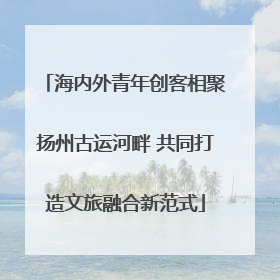 海内外青年创客相聚扬州古运河畔 共同打造文旅融合新范式