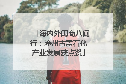 海内外闽商八闽行：漳州古雷石化产业发展获点赞