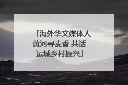 海外华文媒体人黄河寻麦香 共话运城乡村振兴