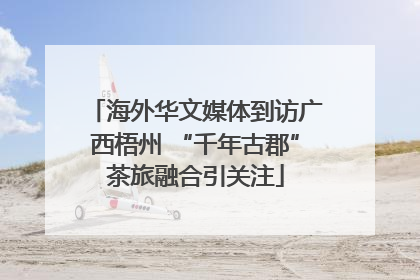 海外华文媒体到访广西梧州 “千年古郡”茶旅融合引关注