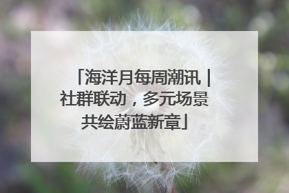 海洋月每周潮讯｜社群联动，多元场景共绘蔚蓝新章