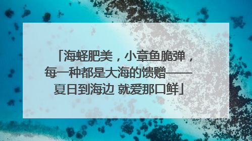 海蛏肥美，小章鱼脆弹，每一种都是大海的馈赠——夏日到海边 就爱那口鲜