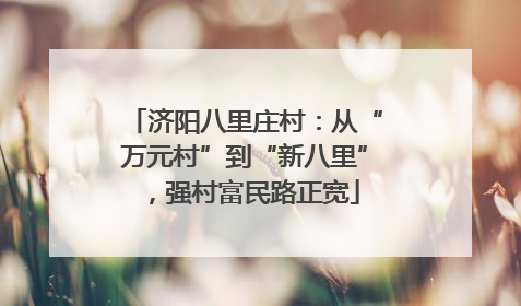 济阳八里庄村：从“万元村”到“新八里”，强村富民路正宽