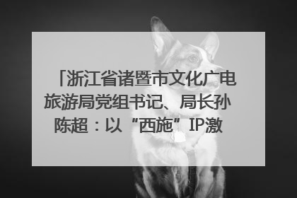 浙江省诸暨市文化广电旅游局党组书记、局长孙陈超：以“西施”IP激活全域旅游 打造县域文旅融合新标杆｜第七届全国县域旅游研究成果发布系列活动