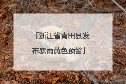 浙江省青田县发布暴雨黄色预警