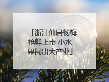 浙江仙居杨梅抢鲜上市 小水果闯出大产业