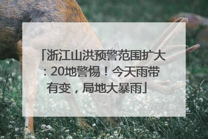 浙江山洪预警范围扩大：20地警惕！今天雨带有变，局地大暴雨