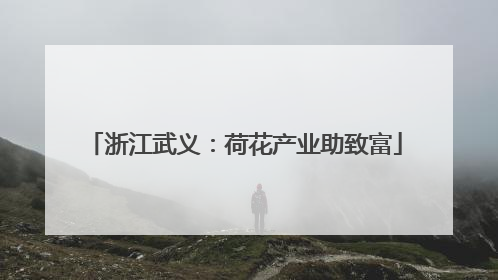 浙江武义：荷花产业助致富