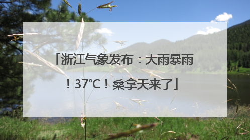 浙江气象发布：大雨暴雨！37℃！桑拿天来了