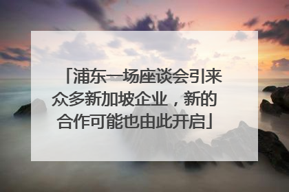 浦东一场座谈会引来众多新加坡企业，新的合作可能也由此开启