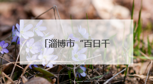 淄博市“百日千万招聘专项行动”暨“省会经济圈”大型招聘会举办