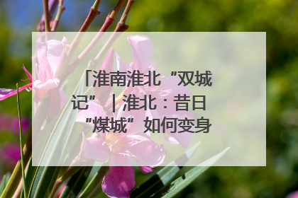 淮南淮北“双城记”｜淮北：昔日“煤城”如何变身文旅“美城”？