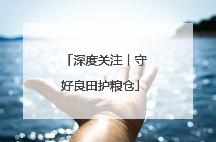 深度关注丨守好良田护粮仓