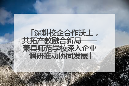 深耕校企合作沃土，共拓产教融合新局——萧县师范学校深入企业调研推动协同发展