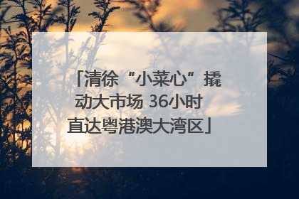 清徐“小菜心”撬动大市场 36小时直达粤港澳大湾区