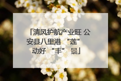 清风护航产业旺 公安县八里港 “莲” 动好 “丰” 景