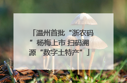 温州首批“浙农码”杨梅上市 扫码溯源“数字土特产”