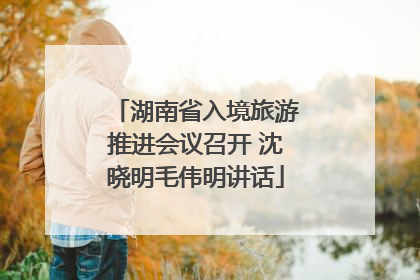 湖南省入境旅游推进会议召开 沈晓明毛伟明讲话