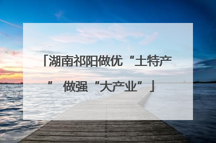 湖南祁阳做优“土特产” 做强“大产业”