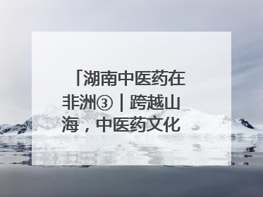 湖南中医药在非洲③｜跨越山海，中医药文化浸润非洲