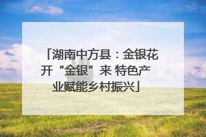 湖南中方县：金银花开“金银”来 特色产业赋能乡村振兴