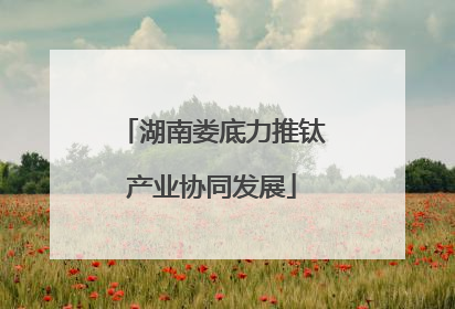 湖南娄底力推钛产业协同发展