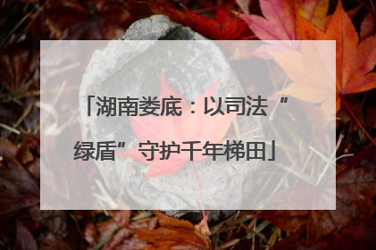湖南娄底：以司法“绿盾”守护千年梯田