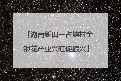 湖南新田三占塘村金银花产业兴旺促振兴