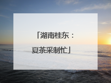 湖南桂东：夏茶采制忙
