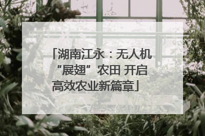 湖南江永：无人机“展翅”农田 开启高效农业新篇章