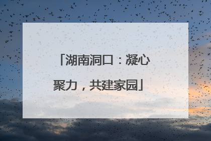 湖南洞口：凝心聚力，共建家园