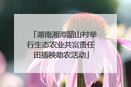 湖南湘潭韶山村举行生态农业共富责任田插秧助农活动