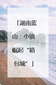 湖南蓝山：小镇崛起“箱包城”