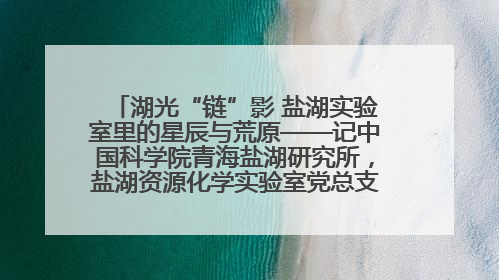 湖光“链”影 盐湖实验室里的星辰与荒原——记中国科学院青海盐湖研究所，盐湖资源化学实验室党总支书记、副主任刘忠
