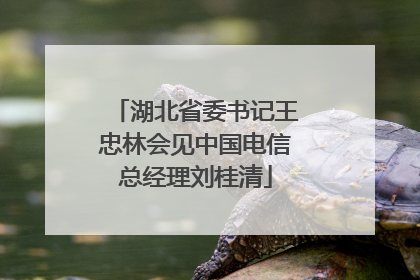 湖北省委书记王忠林会见中国电信总经理刘桂清