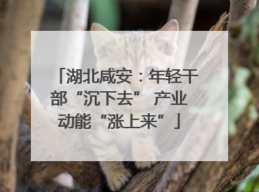 湖北咸安：年轻干部“沉下去” 产业动能“涨上来”