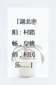 湖北枣阳：村路畅，皇桃俏，村民乐……