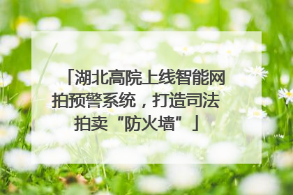 湖北高院上线智能网拍预警系统，打造司法拍卖“防火墙”